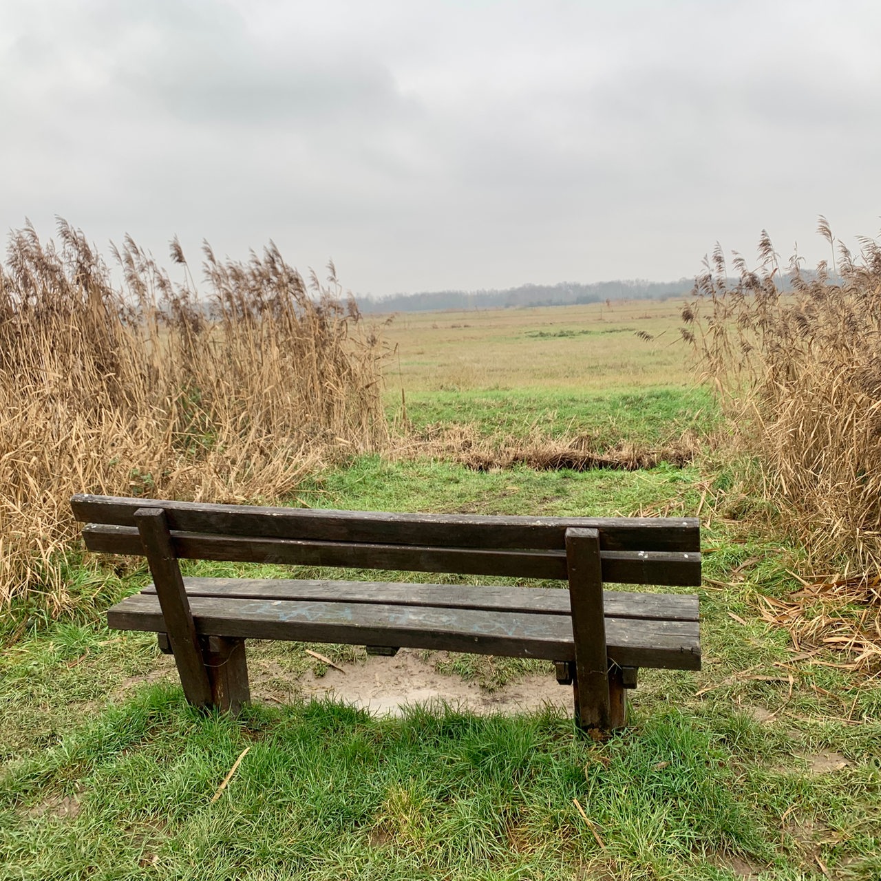 Bremen Ochtum Park Fahrrad