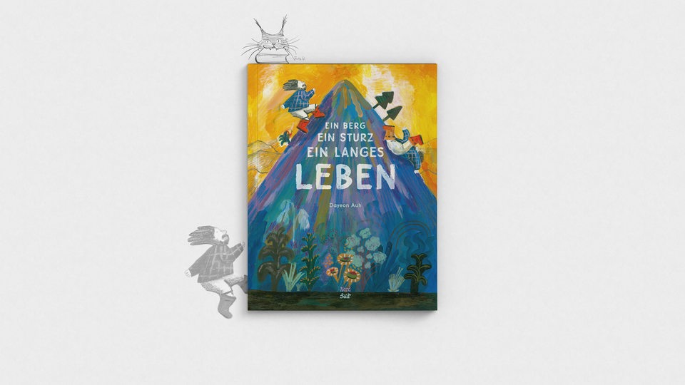 Buchcover "Ein Berg, ein Sturz, ein langes Leben" von Dayeon Auh